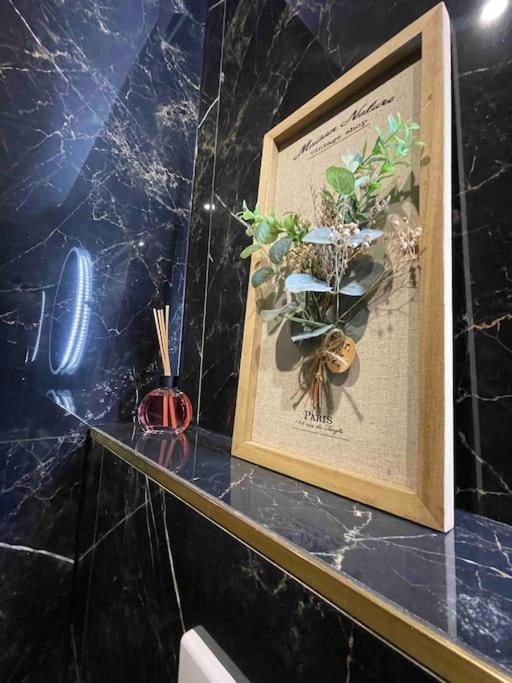Cozy Rental Spa Schiltigheim Εξωτερικό φωτογραφία