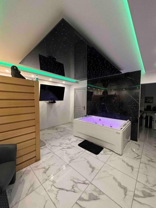 Cozy Rental Spa Schiltigheim Εξωτερικό φωτογραφία